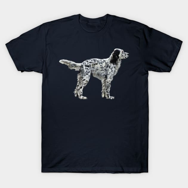 LLewellin Setter T-Shirt by SusanSavad